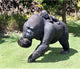 Lowland Gorillas-Mother and Child