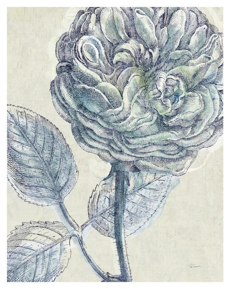 "Belle Fleur III" Digital Paper Print by Sue Schlabach, 22"x26"