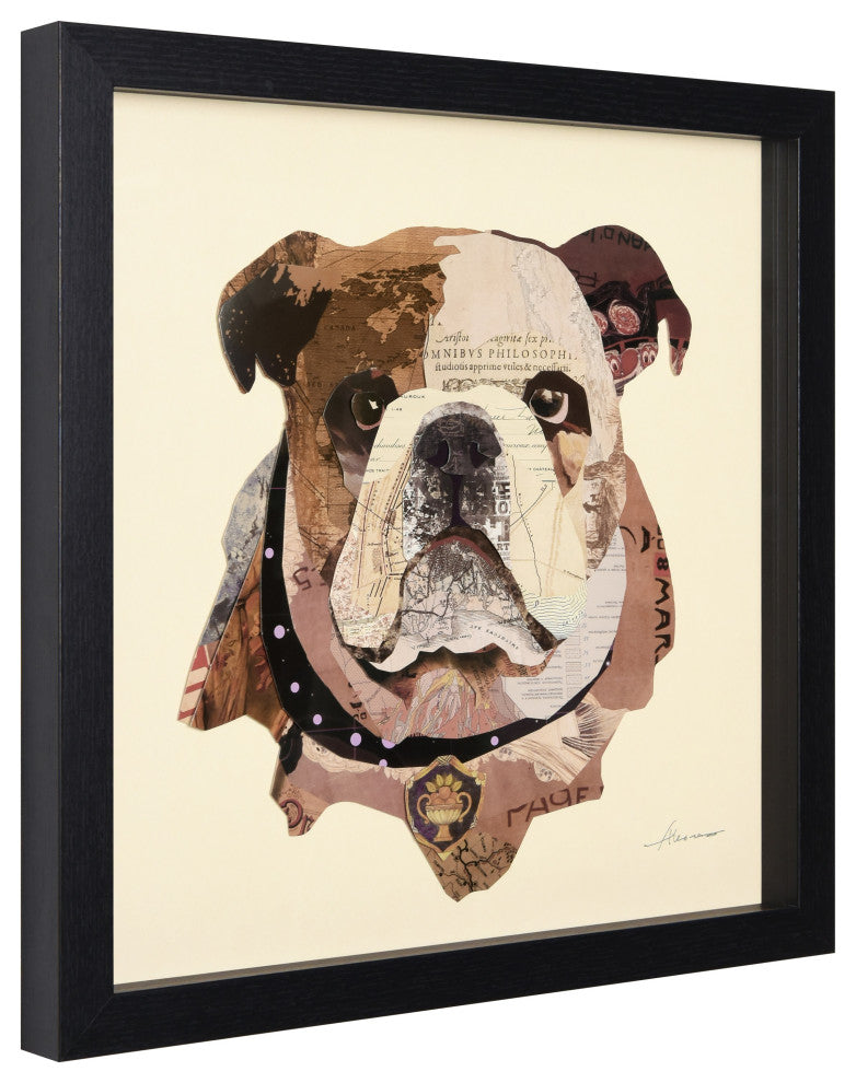 Bulldogs Close Up Dimensional Collage Wall Art Framed Under Glass