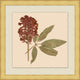 Pressed Flowers 4, Giclee Reproduction Artwork