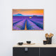 Blooming Lavender Field and Sunset Floral Landscape Framed Photo Wall Art Prints, Red Oak, 24" X 36"
