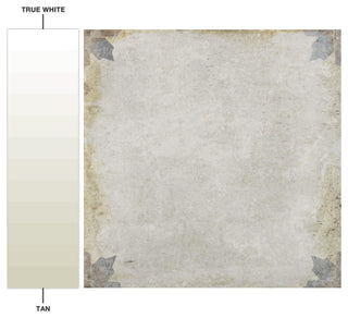 D'Anticatto Decor Porcelain Floor and Wall Tile, Arezzo