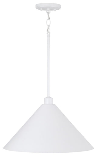 Capital Lighting 351311 Alden 18"W Pendant - Matte Black