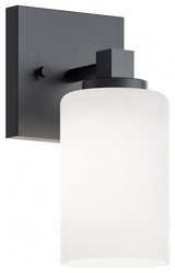 Leo 1-Light Sconce, Clear Glass Shade, Black Finish
