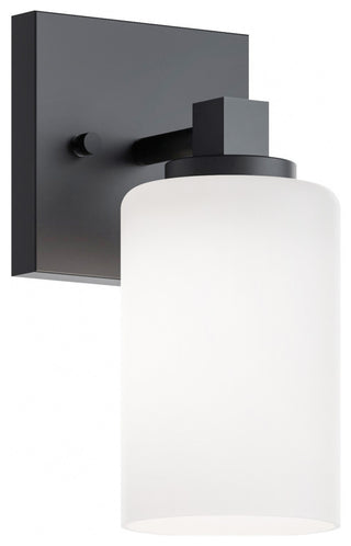 Leo 1-Light Sconce, Clear Glass Shade, Black Finish