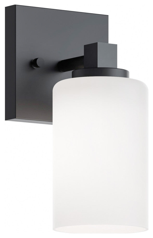 Leo 1-Light Sconce, Clear Glass Shade, Black Finish