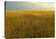 "Upper Prairie In Badlands National Park, South Dakota" Artwork, 32" x 24"
