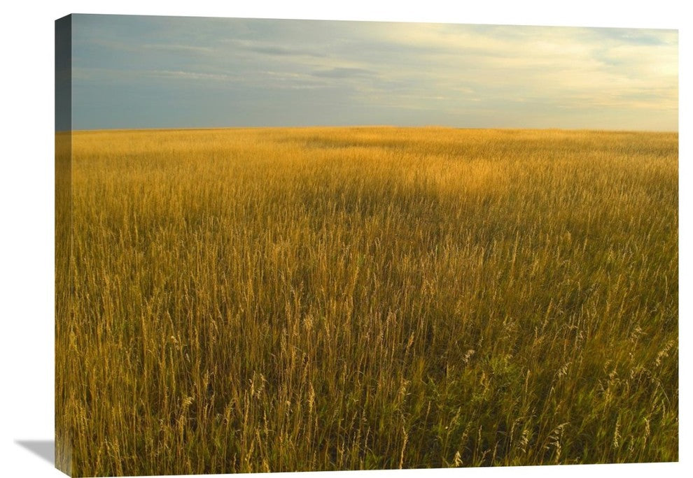 "Upper Prairie In Badlands National Park, South Dakota" Artwork, 32" x 24"