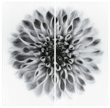 "Dahlia AB" Frameless Free Floating Tempered Glass Panel Graphic Wall Art Set