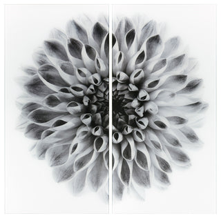 "Dahlia AB" Frameless Free Floating Tempered Glass Panel Graphic Wall Art Set