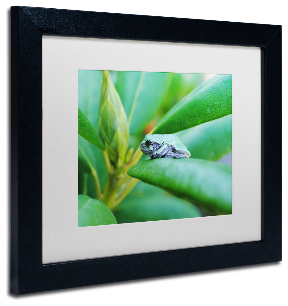 'Balance' Matted Framed Canvas Art by Monica Mize