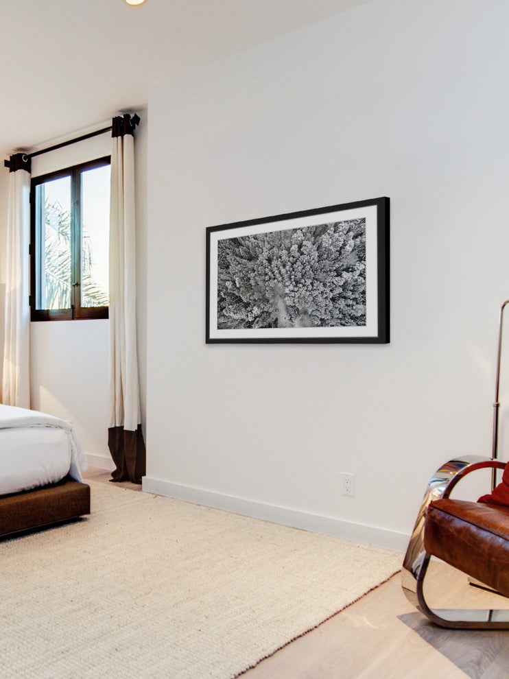 "Frozen Friends" Framed Print by Karolis Janulis