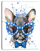 Cute French Bulldog with Glasses, Animal Canvas Wall Art, 12"x20"