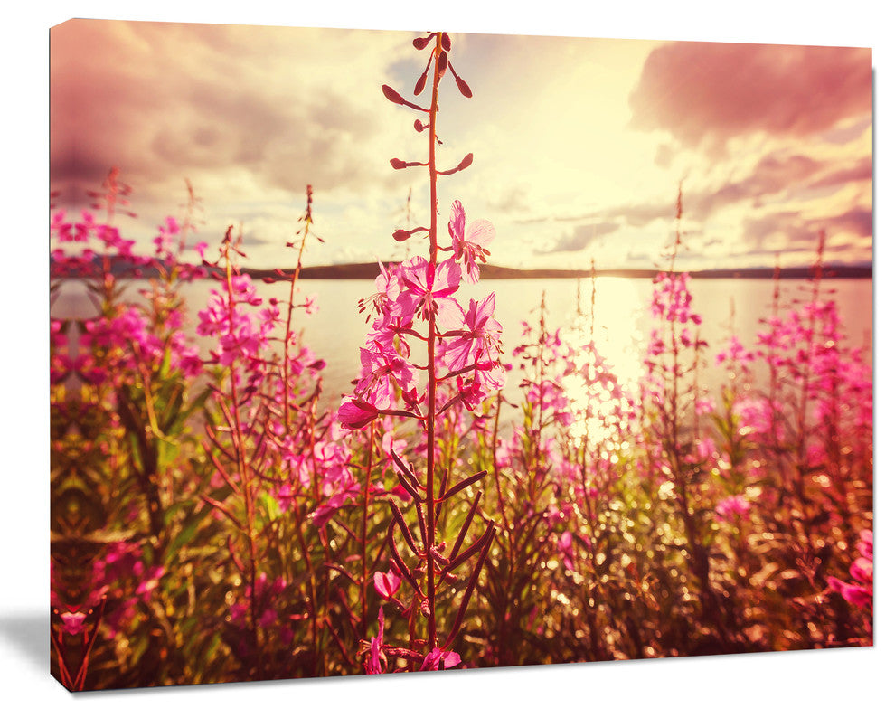 Meadow with Purple Flowers Alaska, Floral Art Canvas Print, 20"x12"