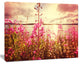Meadow with Purple Flowers Alaska, Floral Art Canvas Print, 20"x12"
