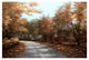 "Maple Lane" Digital Paper Print by Diane Romanello, 26"x18"