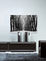 "Rows of Trees" Print on White Wood, 45"x30"