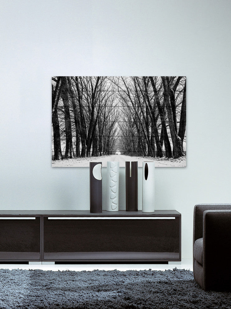 "Rows of Trees" Print on White Wood, 45"x30"