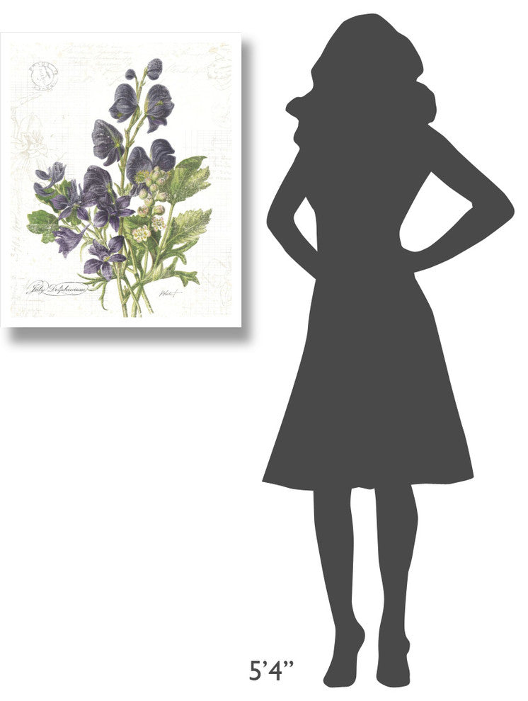 "July Delphinium on White" Digital Paper Print by Katie Pertiet, 24"x30"