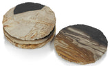 Plover 4" Petrified Wood Coasters, Set of 4