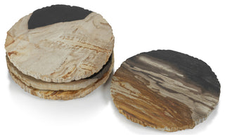 Plover 4" Petrified Wood Coasters, Set of 4