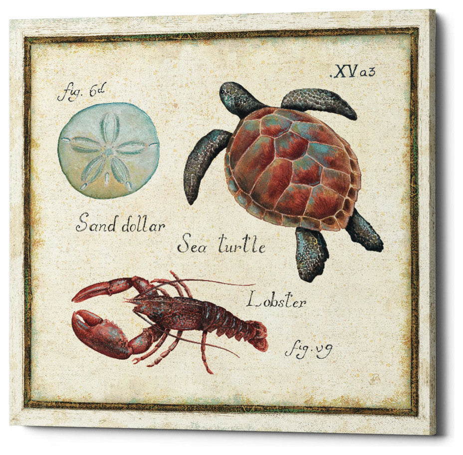 Oceanography II' by Daphne Brissonnet, Giclee Canvas Wall Art, 12"x12"