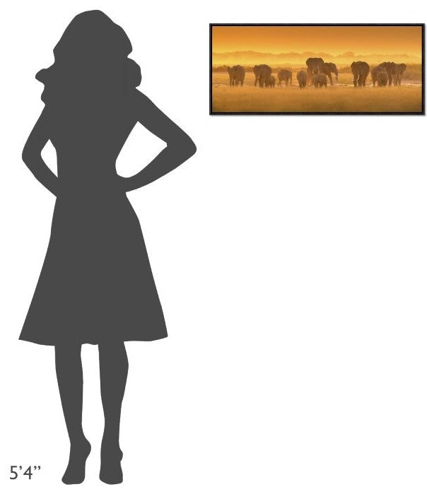 "Golden Light" Framed Canvas Giclee by David Hua, 31x13"