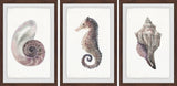 "Sea Stuff Triptych" Framed Painting Prints, 36"x18", 3-Piece Set