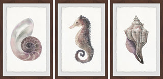 "Sea Stuff Triptych" Framed Painting Prints, 36"x18", 3-Piece Set