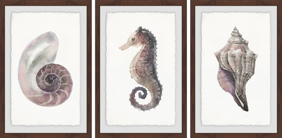 "Sea Stuff Triptych" Framed Painting Prints, 36"x18", 3-Piece Set