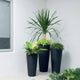 Bleeker Indoor/Outdoor Tall Round Planter with Sand Cavity, Bronze, 17"