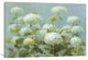 "White Hydrangea Garden Gallery" by Danhui Nai, 40x26x1.5"