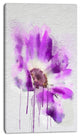 Beautiful Purple Rose Watercolor, Floral Canvas Art Print, 16"x32"