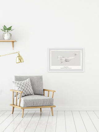 "Beluga Whale" Framed Painting Print, 36x24
