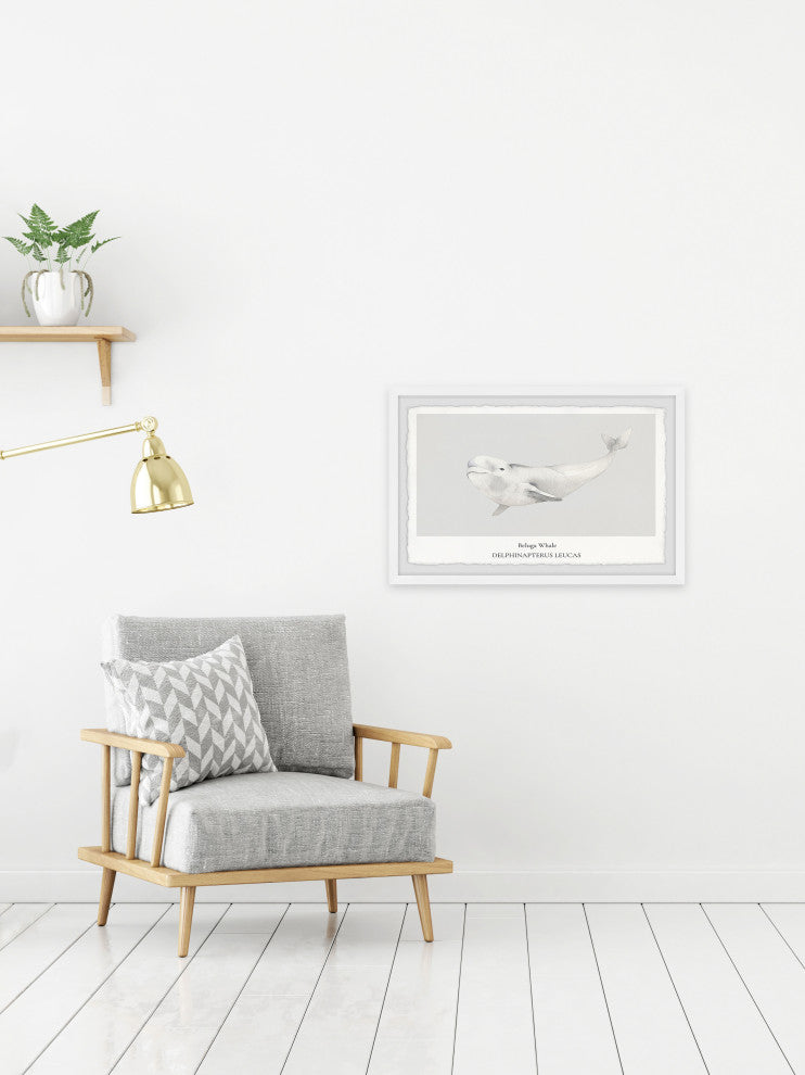 "Beluga Whale" Framed Painting Print, 36x24