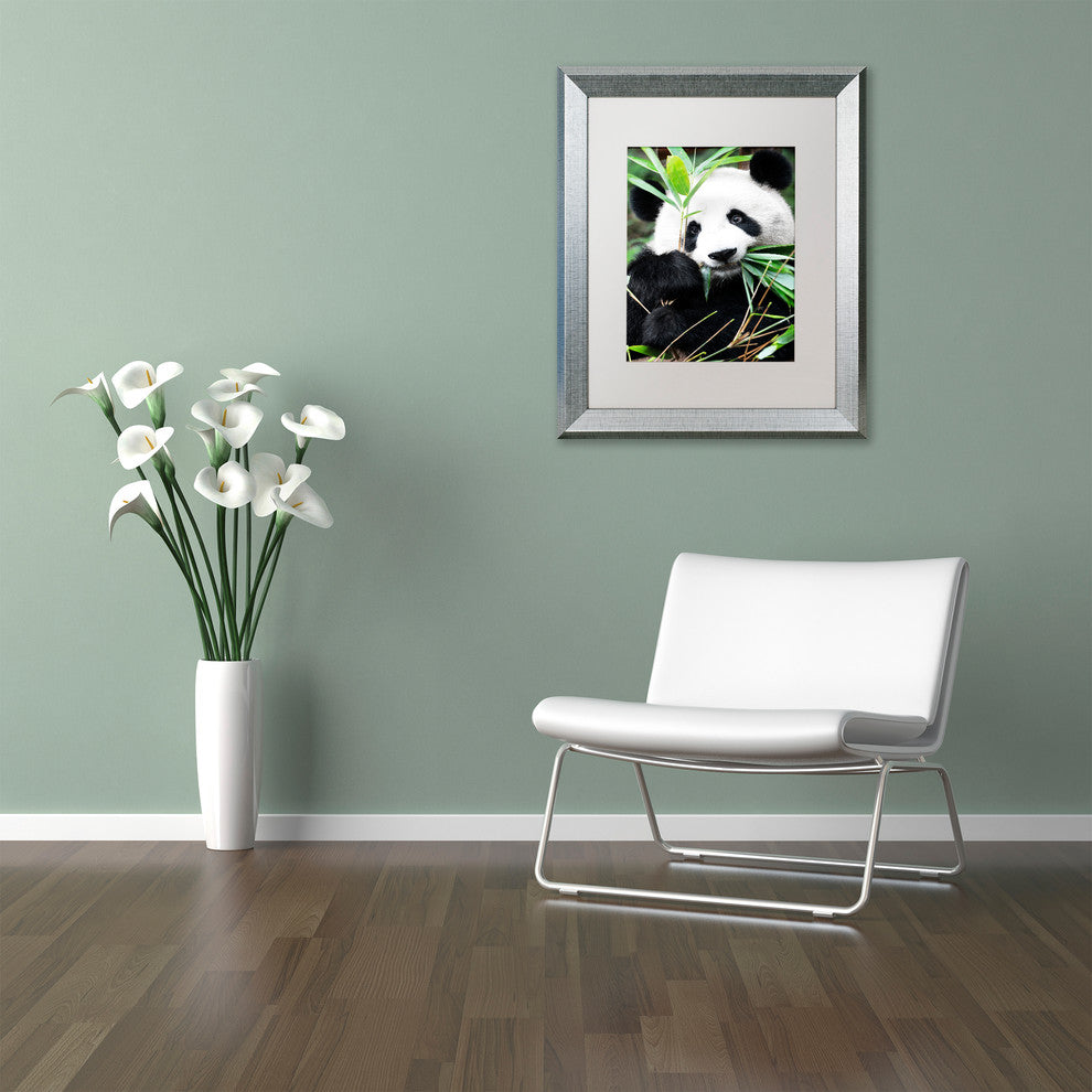 Philippe Hugonnard 'Giant Panda I' Art, Silver Frame, White Matte, 14"x11"
