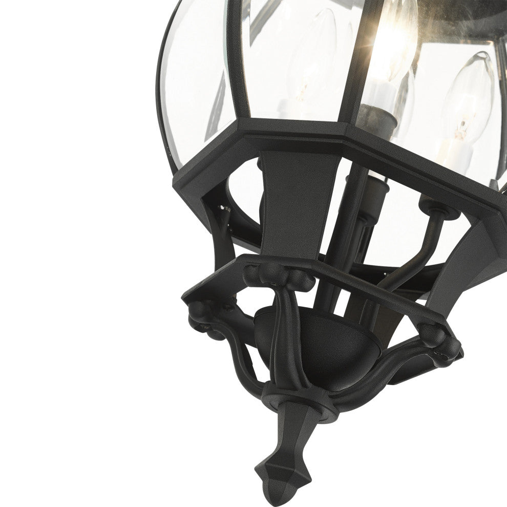 Textured Black Traditional, Colonial, French Historical, Outdoor Pendant Lantern