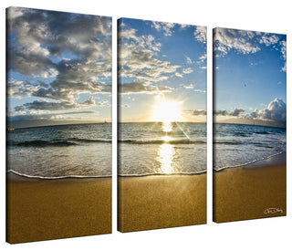 Ready2HangArt Christopher Doherty 'Maui' Canvas Wall Art (3 Piece)