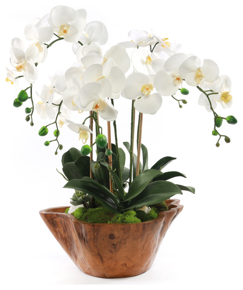 White Real Touch Phalaenopsis Orchids in Rustic Teak Bowl