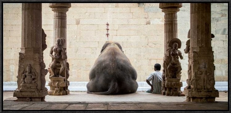 "The Elephant and Its Mahot" Framed Canvas Giclee by Ruhan, 31x15"