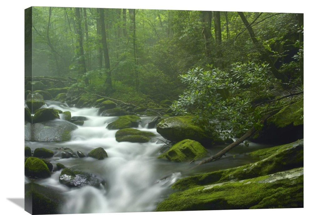 "Roaring Fork River In Great Smoky Mountains National Park, Tennessee" Artwork