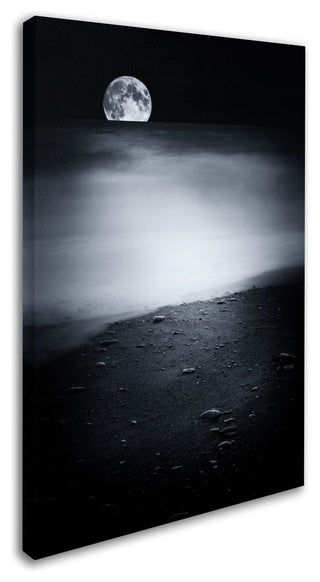 'Black Sweat' Canvas Art by Philippe Sainte-Laudy