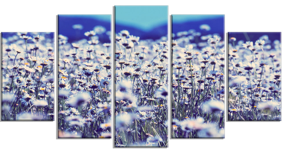 Amazing Light Blue Chamomile Blossom, Flower Canvas Print, 60"x32", 5 Panels