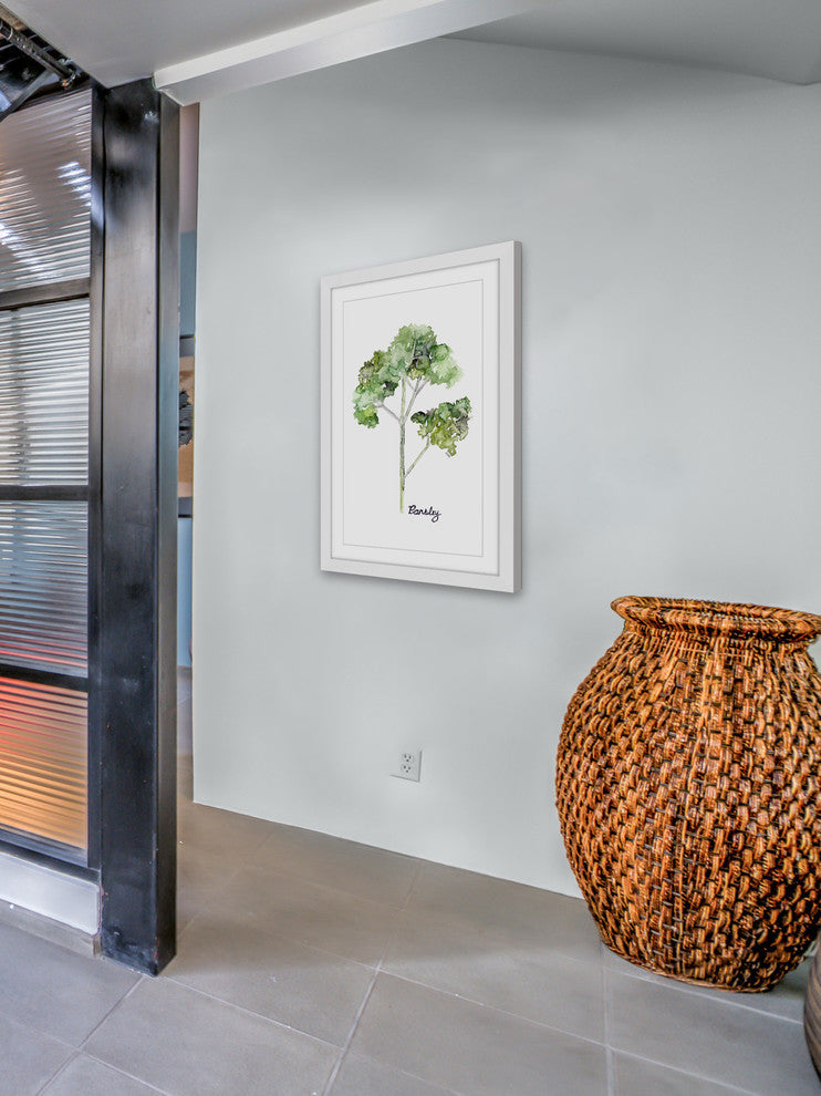 "Herb Parsley" Framed Print by Rachel Byler