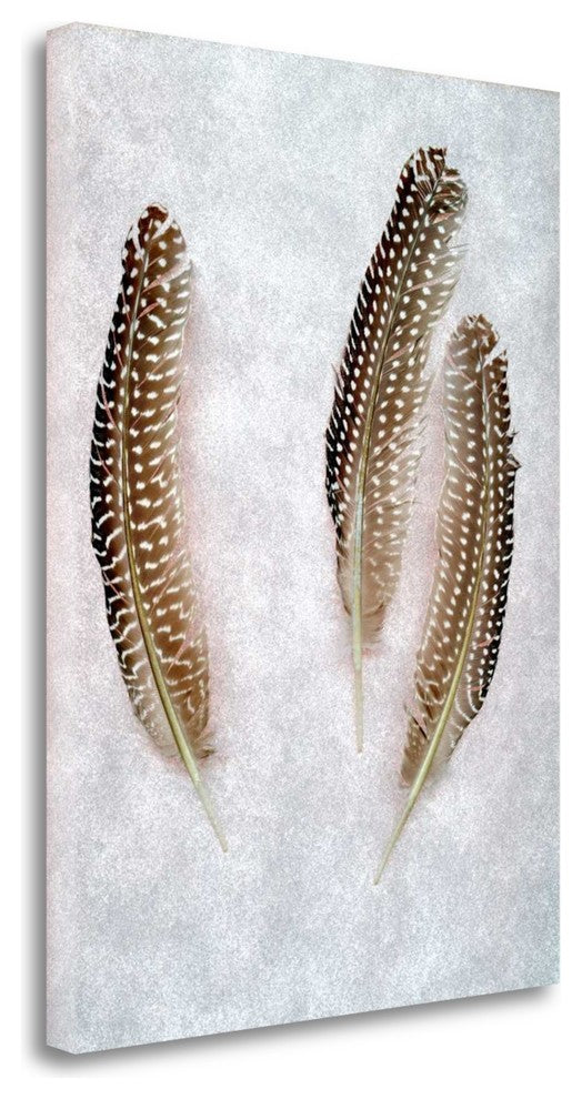 "Feather - 2" By Alan Blaustein, Giclee Print on Gallery Wrap Canvas