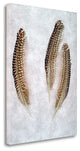 "Feather - 2" By Alan Blaustein, Giclee Print on Gallery Wrap Canvas