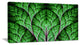 Exotic Green Biological Organism, Oversized Abstract Canvas Art Print, 60x28
