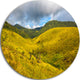 Green Everywhere, Horton Plains, Landscape Disc Metal Wall Art, 38"