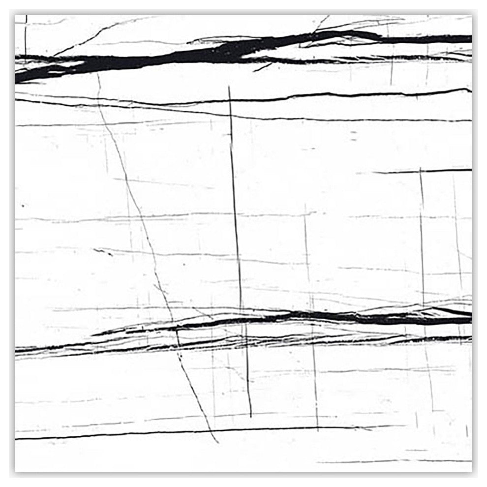 Sahara Noir White Polished 24x24 Porcelain Tile