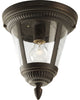 Westport 1-Light Outdoor Ceiling Fixture, Antique Bronze and Clear seeded